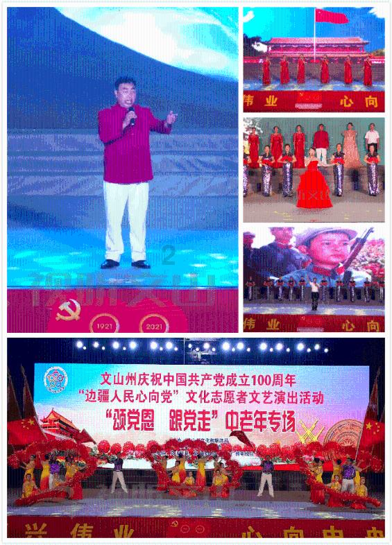 救援小犬立苏